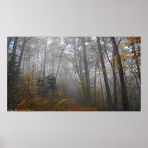 Póster Camino de niebla a fines de otoño Poster forestal