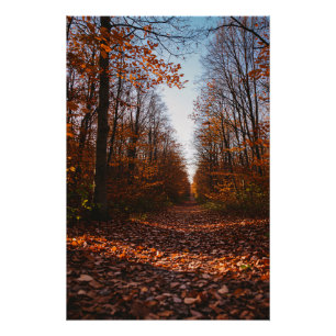 Póster Camino de Otoño: Donde el Tiempo se Detiene