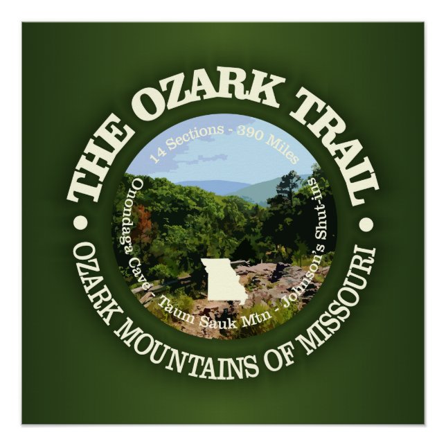 Póster Camino de Ozark (rd. (Anverso)
