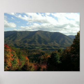 Póster Camino de Pequeño Pastor