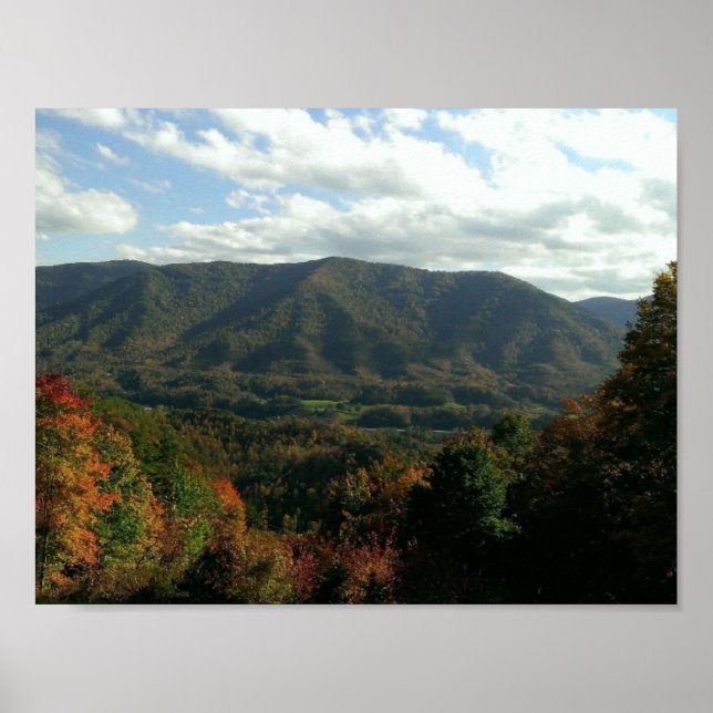 Póster Camino de Pequeño Pastor (Frente)