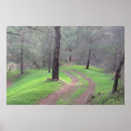 Póster Camino de Pine Forest