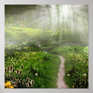 Póster Camino de pradera