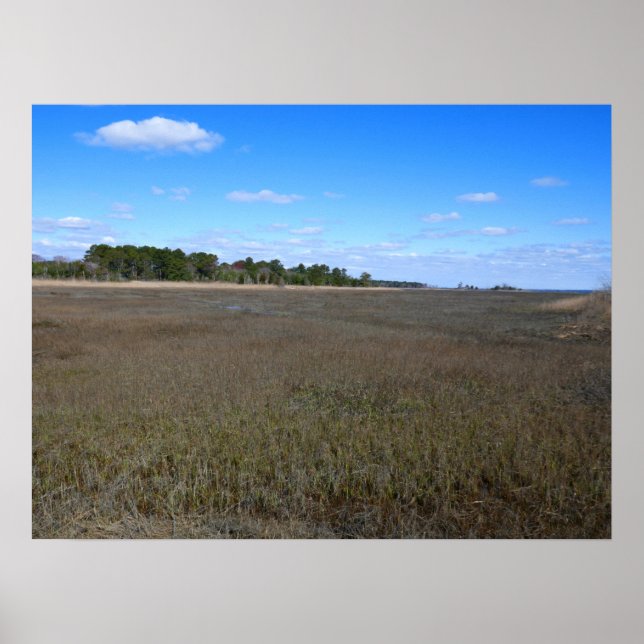 Póster Camino de preservación de la naturaleza de la isla (Frente)