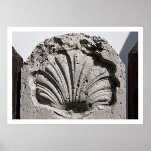 Póster Camino de Santiago Scallop