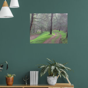 Póster Camino del Bosque de Pinus