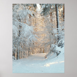 Póster Camino del invierno