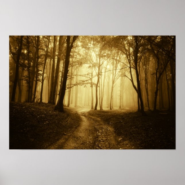 Póster Camino en un bosque oscuro con niebla (Frente)