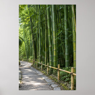 Póster Camino Espeso en el Bosque de Bambú con Cerca Rúst