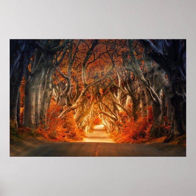 Póster Camino forestal encantado (Frente)