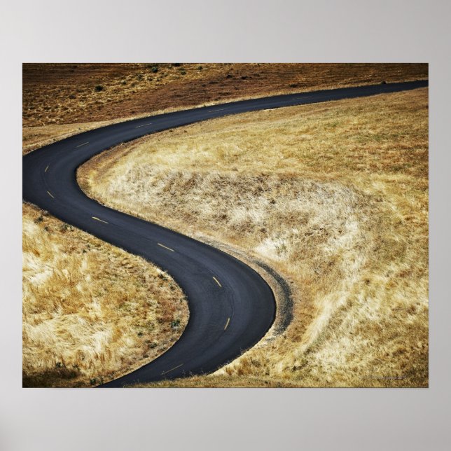 Póster Camino pavimentado y sinuoso vacío (Frente)