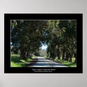 Póster "Camino por el campo con tres líneas"