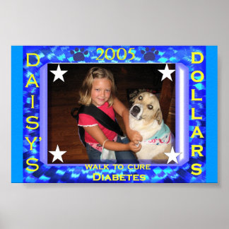 Póster Camino por la diabetes en 2005