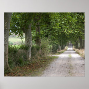 Póster Camino rural de tierra cerca del pueblo de