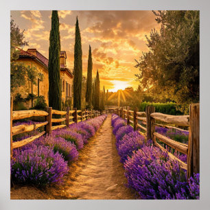 Póster Camino Rústico Lleno de Campos de Lavanda al Atard