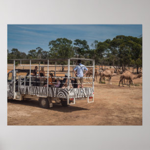 Póster Camión de la gira Zebra Safari en Wildlife Park