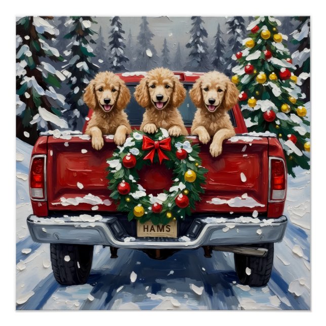 Póster Camioneta Roja de Navidad de Caniche Fiesta (Anverso)