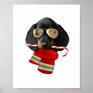 Póster Camiseta de Dachshund Navidades ricas regalo Perro