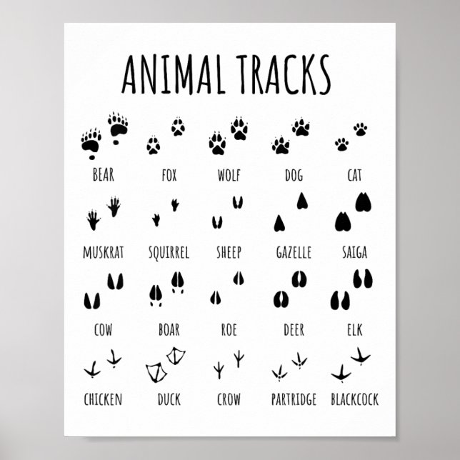 Póster Camiseta de rastros de animales exploradores de la (Frente)