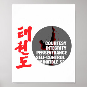 Póster Camiseta de taekwondo principios artes marciales t
