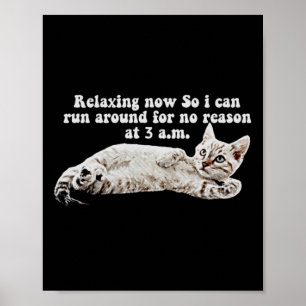 Póster Camiseta divertida meme gato enojado para dueños d