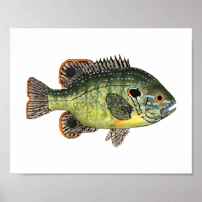 Póster Camiseta Green Sunfish (Frente)