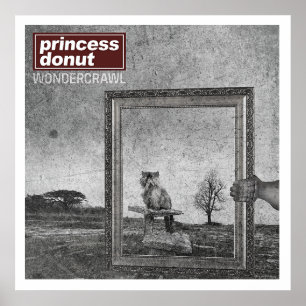 Póster Camiseta Wondercrawl de Princess Donut