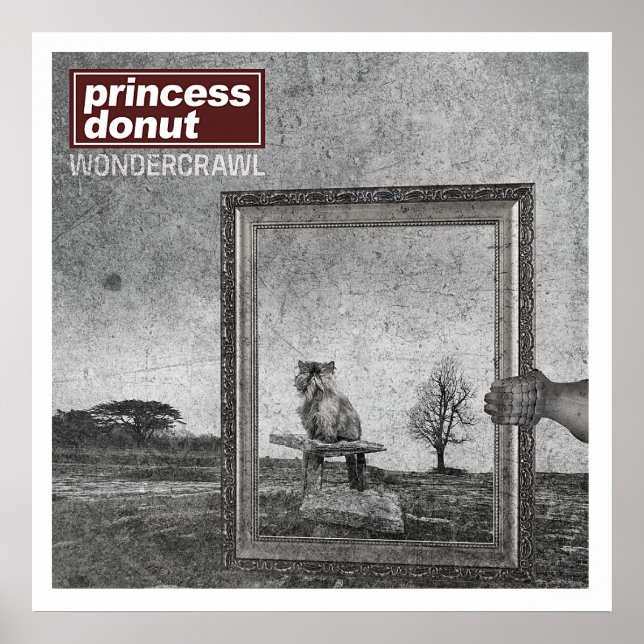 Póster Camiseta Wondercrawl de Princess Donut (Frente)