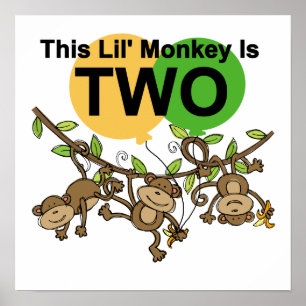 Póster Camisetas y regalos de 2º cumpleaños de monos que