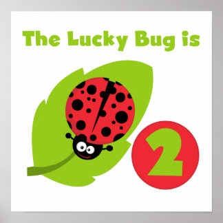 Póster Camisetas y regalos de cumpleaños de Lucky Bug