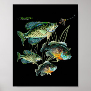 Póster Camisetas y sudaderas con capucha para pesca de Cr