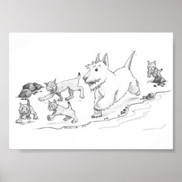 Póster Cammy y los gatitos