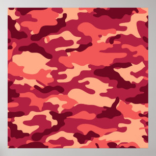 PÓSTER CAMO MARTIANO DESERTO / PATRÓN DE DAZZLE CAMOUFLAG