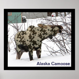 Póster Camouflage Moose