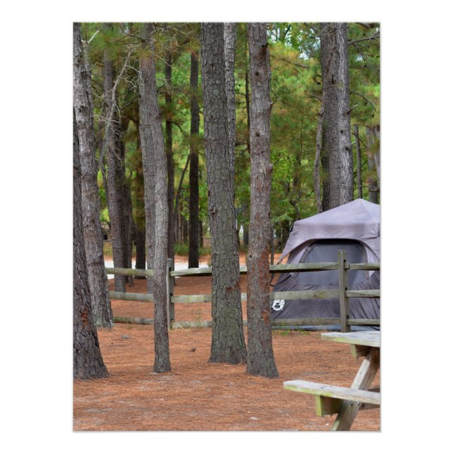 Póster Campamento con tienda y valla en los bosques (Anverso)