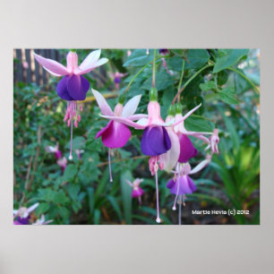 Póster Campanas tricoloreadas