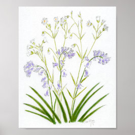 Póster Campanillas azules y stitchwort