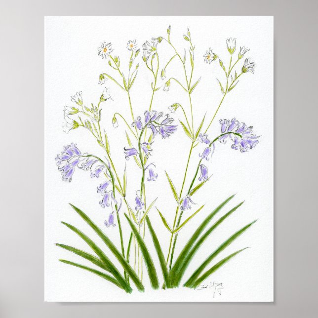 Póster Campanillas azules y stitchwort (Frente)