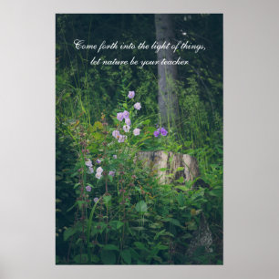 Póster Campanillas en el bosque