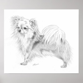 Póster Campeón de Chihuahua Longchata