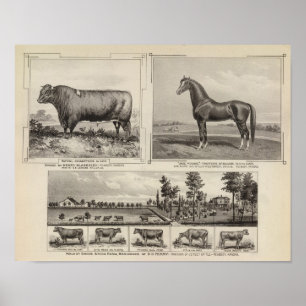 Póster Campeón Real, Joe Young, Kansas