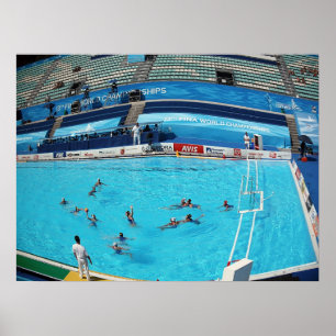 PÓSTER CAMPEONATO ROMA 2009 DEL MUNDO DE LA NATACIÓN