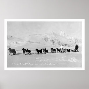 Póster Campeones de la concha de perro Alaska 1910