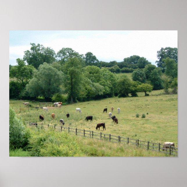 Póster Campesina inglesa (Frente)