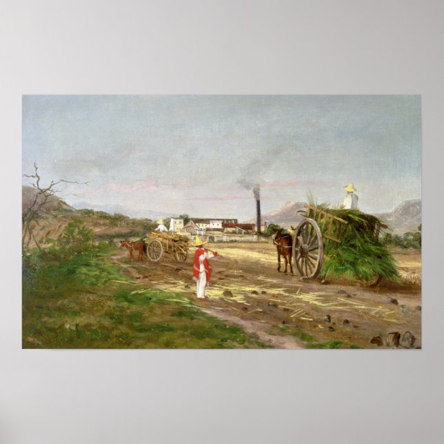 Póster Campesinos recolectando caña de azúcar (Frente)