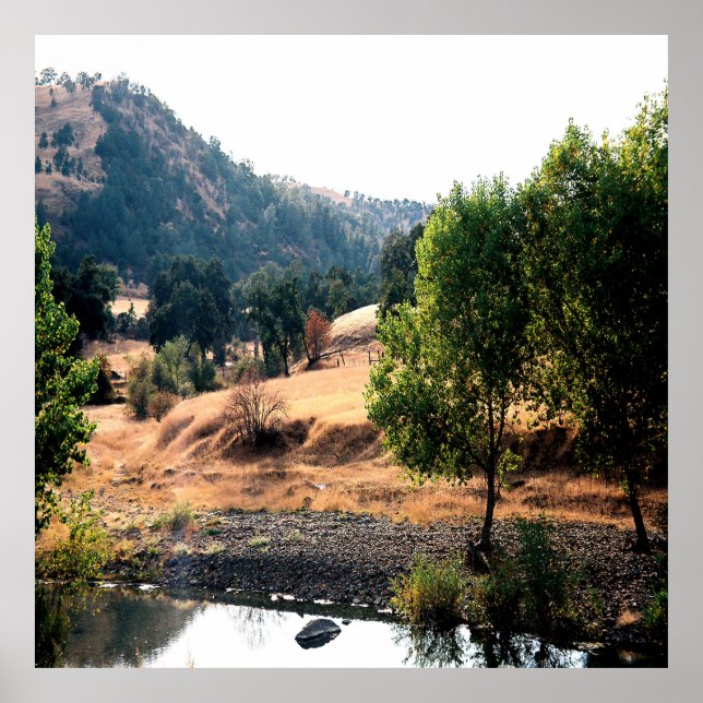 Póster Campo..... (Frente)