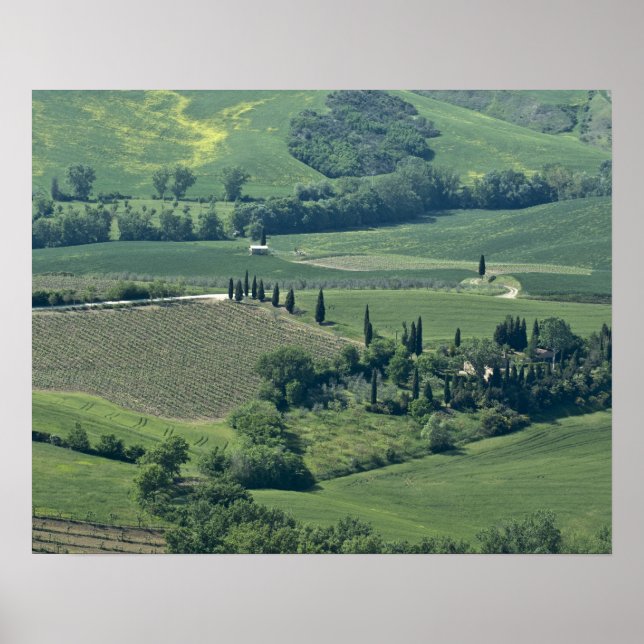 Póster Campo cerca de Montepulciano, Val d'Orcia, (Frente)