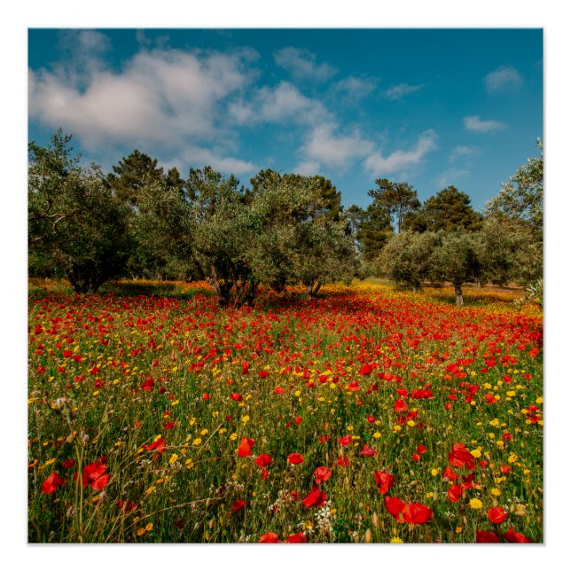 Póster campo con flores y árboles (Anverso)