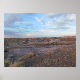 Póster Campo de bosque Petrificado