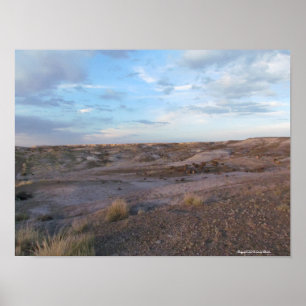 Póster Campo de bosque Petrificado